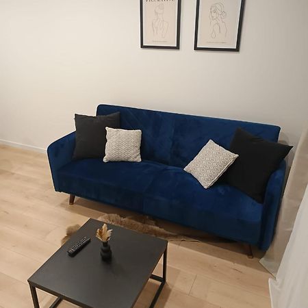 Superbe Appartement ! サン・テティエンヌ エクステリア 写真