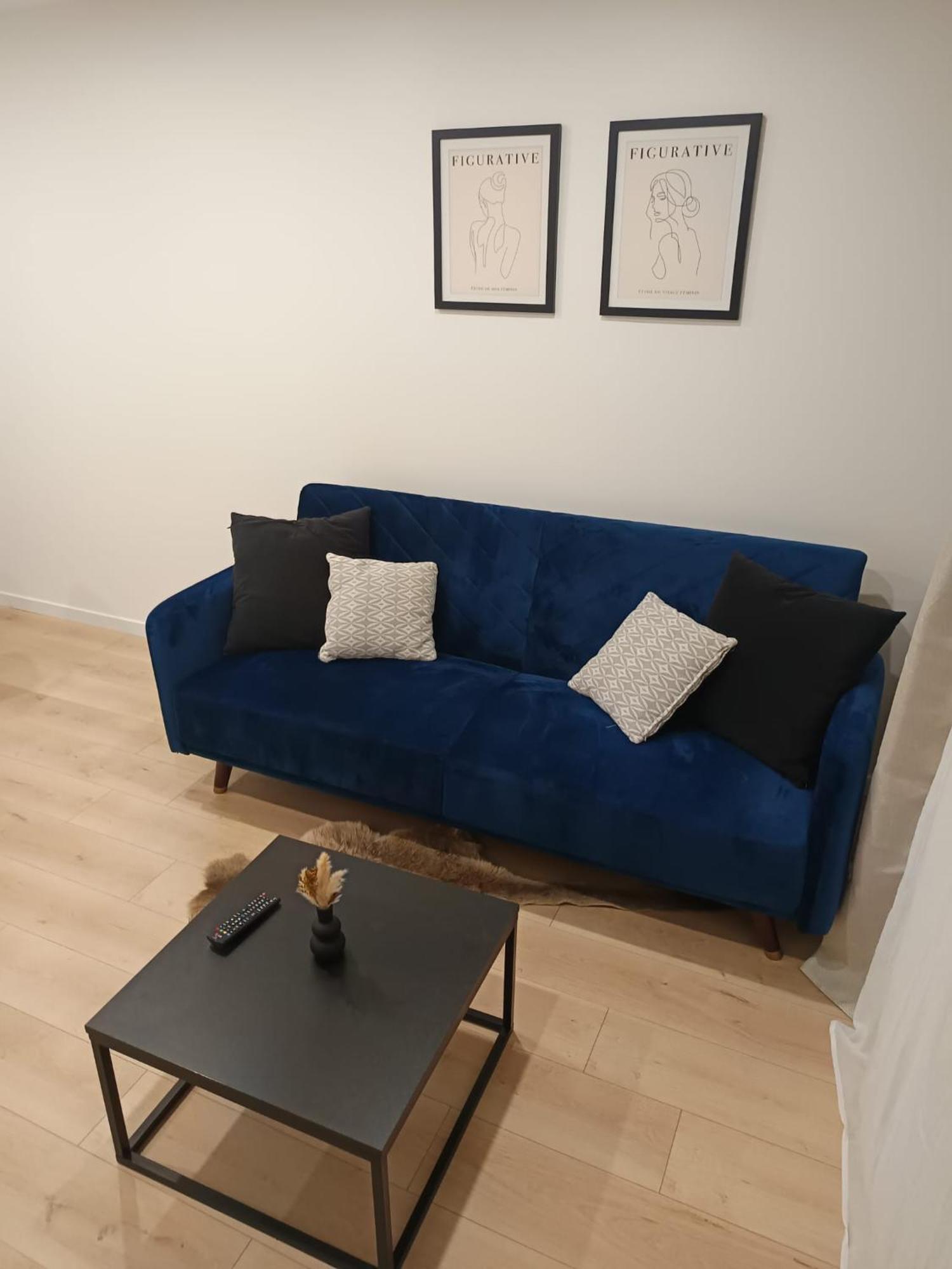 Superbe Appartement ! サン・テティエンヌ エクステリア 写真