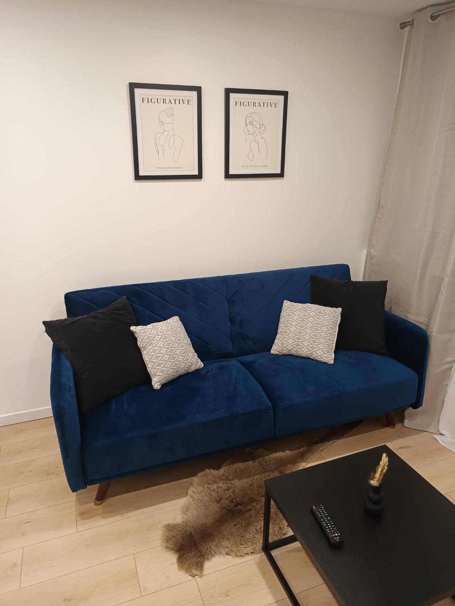 Superbe Appartement ! サン・テティエンヌ エクステリア 写真